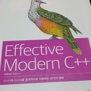 Effective Modern C++ 이미지