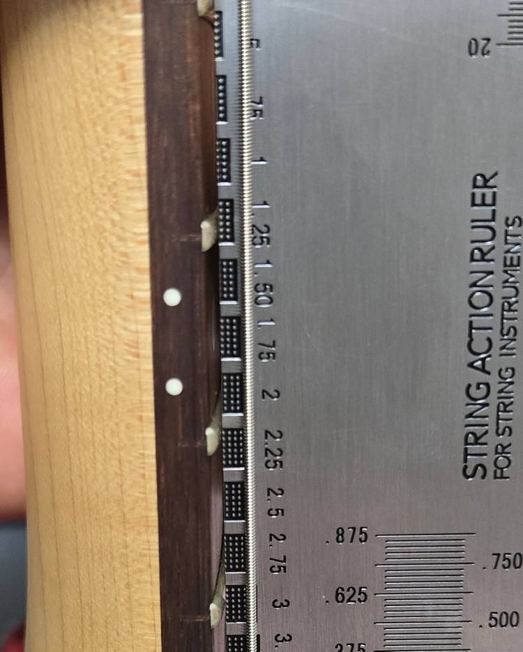 스윙 일렉기타 SWING FOXY 100 METALIC RED 이미지