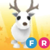 입양하세요 FR흰순록 판매 이미지