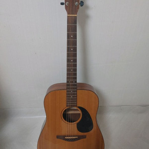 아발론 DS-200 통기타 이미지