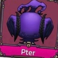 킹피스 프테라 최저가 이미지