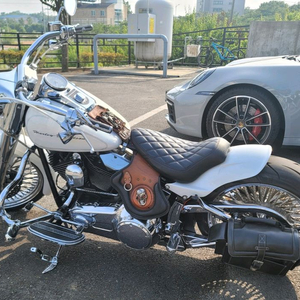 할리데이비슨 팻보이 이미지