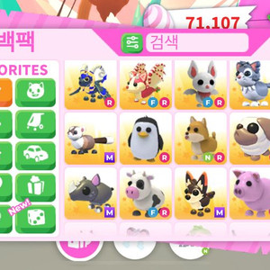 입양하세요 펫 팝니다 이미지