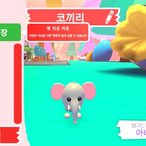 입양하세요 펫 코끼리 판매합니다 이미지