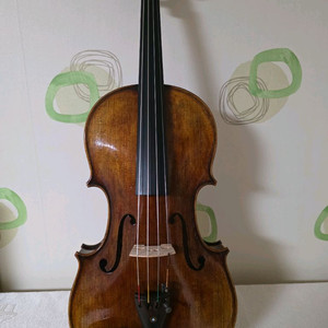 비올라 16 (뒷판 1 piece) <홍성우 Va.800> 이미지