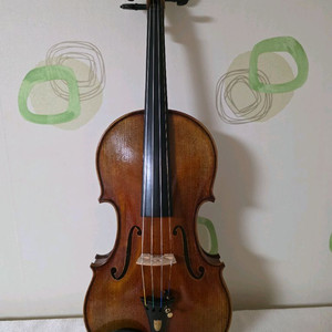 바이올린 4/4(홍성우 v.800) 이미지