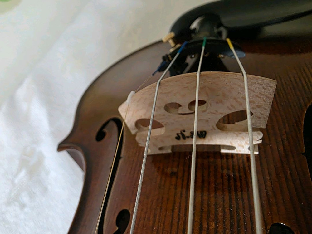 바이올린 4/4(홍성우 v.800) 이미지