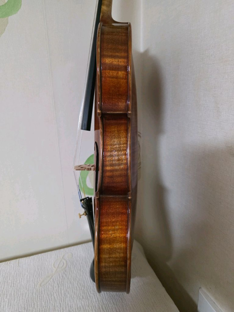 바이올린 4/4(홍성우 v.800) 이미지