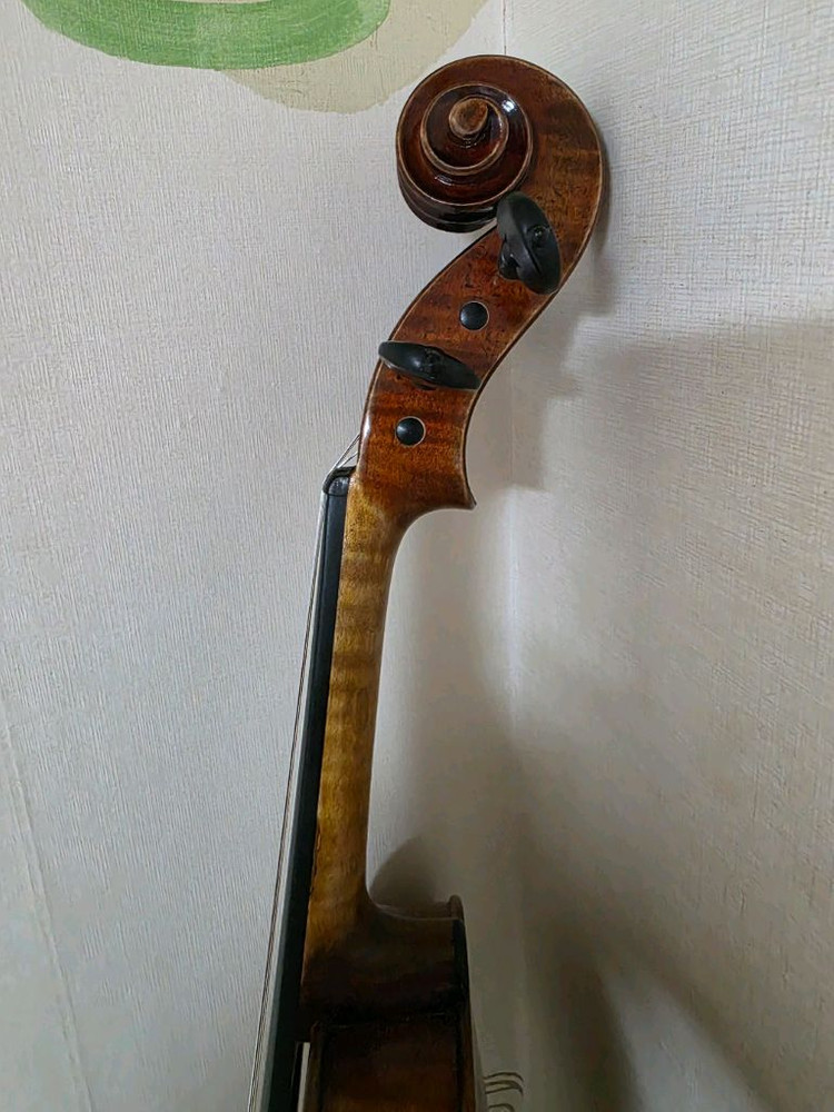 바이올린 4/4(홍성우 v.800) 이미지