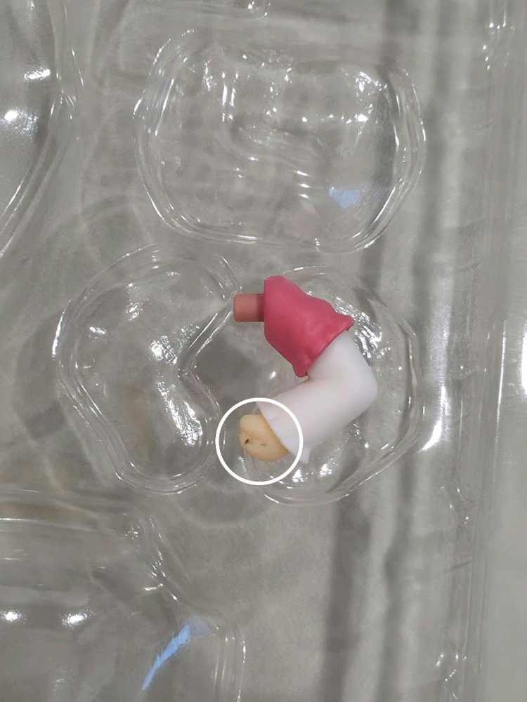 개봉) 에로망가 선생 야마다 엘프 넨도로이드 이미지