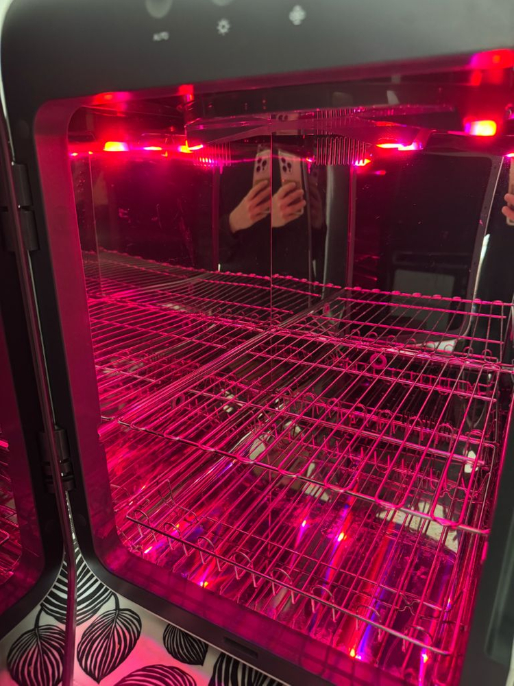 유팡 플러스 젖병소독기 화이트 23년제품 이미지