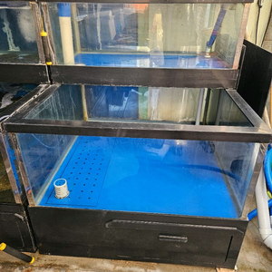 업소용횟집수족관 이미지