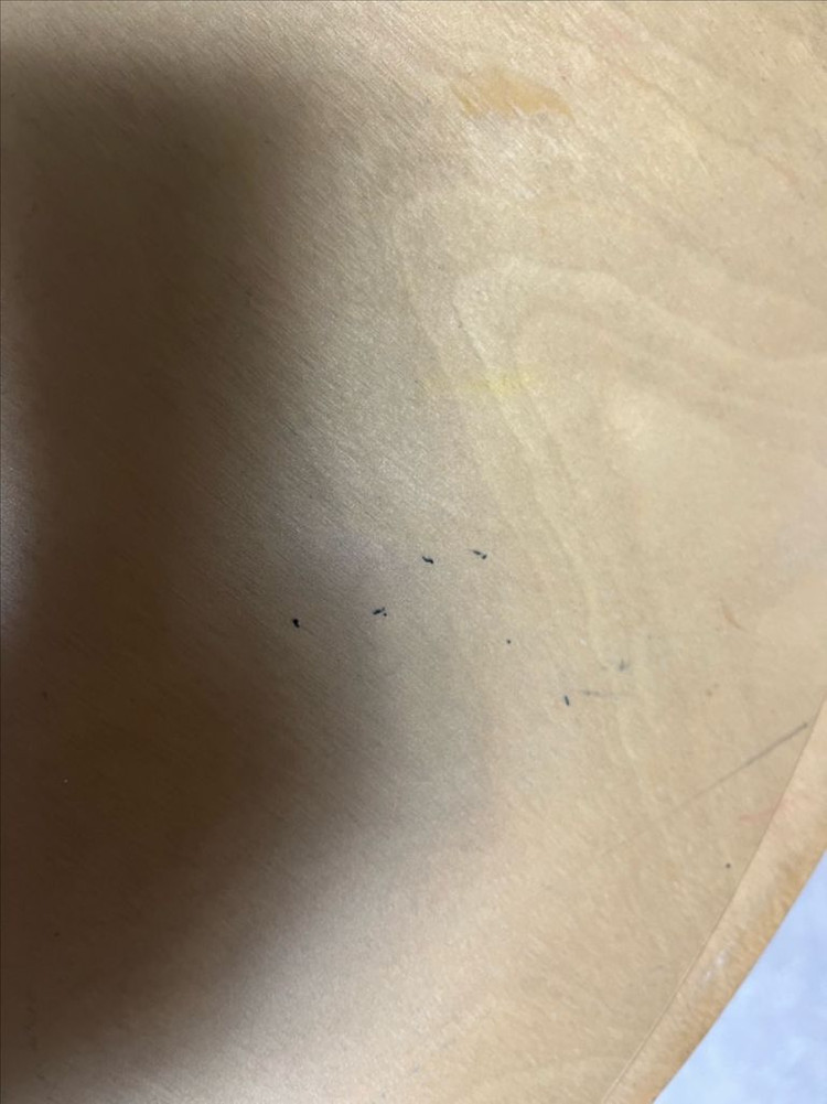 토리 유아 원목책상 이미지