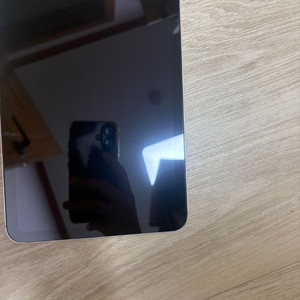 아이패드 미니 6 256G 셀룰러 이미지