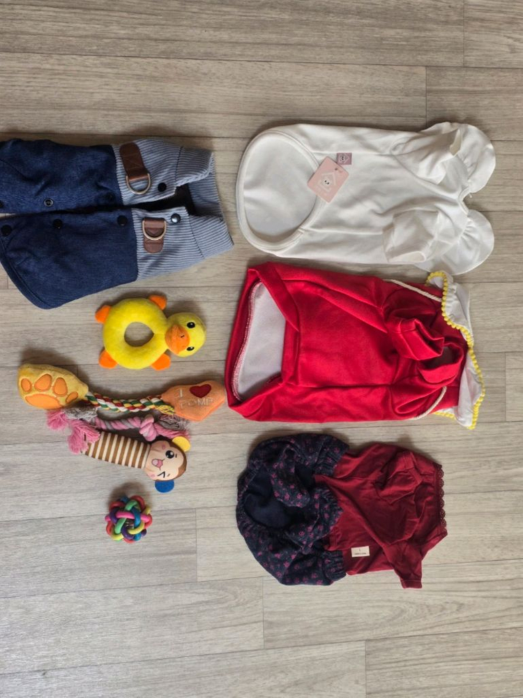 강아지 옷 장난감 다 새상품/화식 이미지