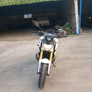 BMWG310R 이미지
