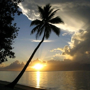 피망 뉴맞고 머니 삽니다 이미지