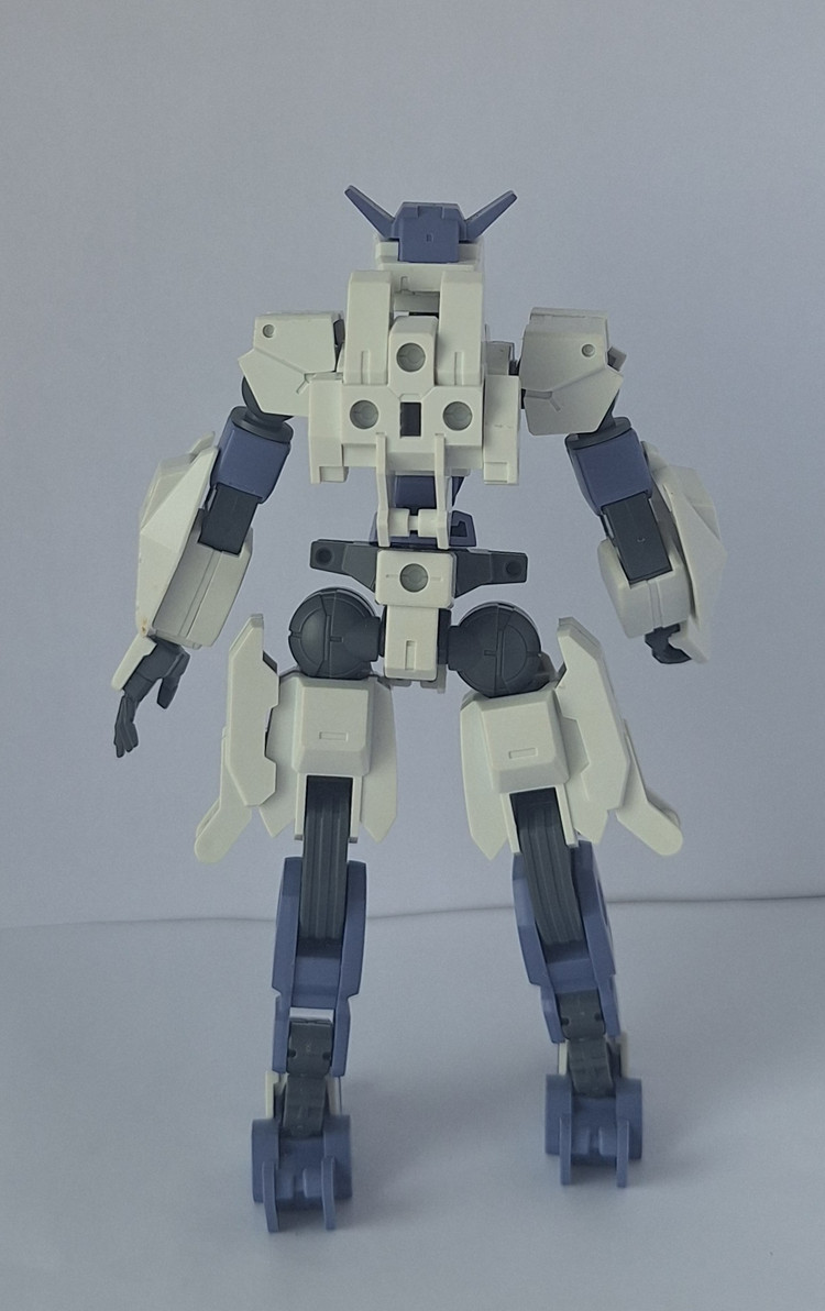 30mm 포레스티에리 01(eEXM-S01U) 정크 이미지