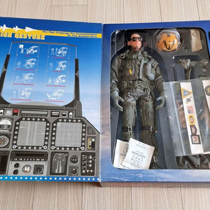 Hot toys Combat Aircrew Pilot 이미지