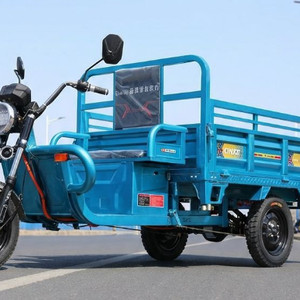 삼륜 전기 오토바이 농장 사유지 운반차(도로주행X) 이미지