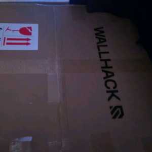 (미개봉)wallhack 월핵 카니지 소라 carnage sora 유리패드 판매 이미지