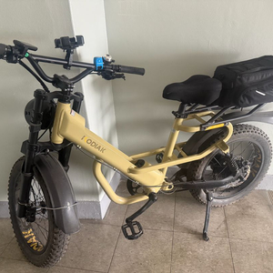 알톤 코디악 전기자전거 t20 팝니다 이미지