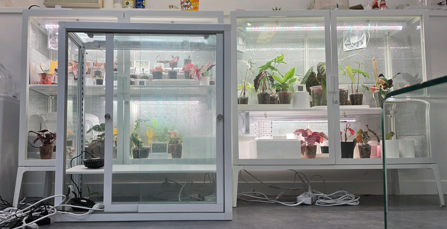 식물재배용 LED 조명 장비 세트 이미지