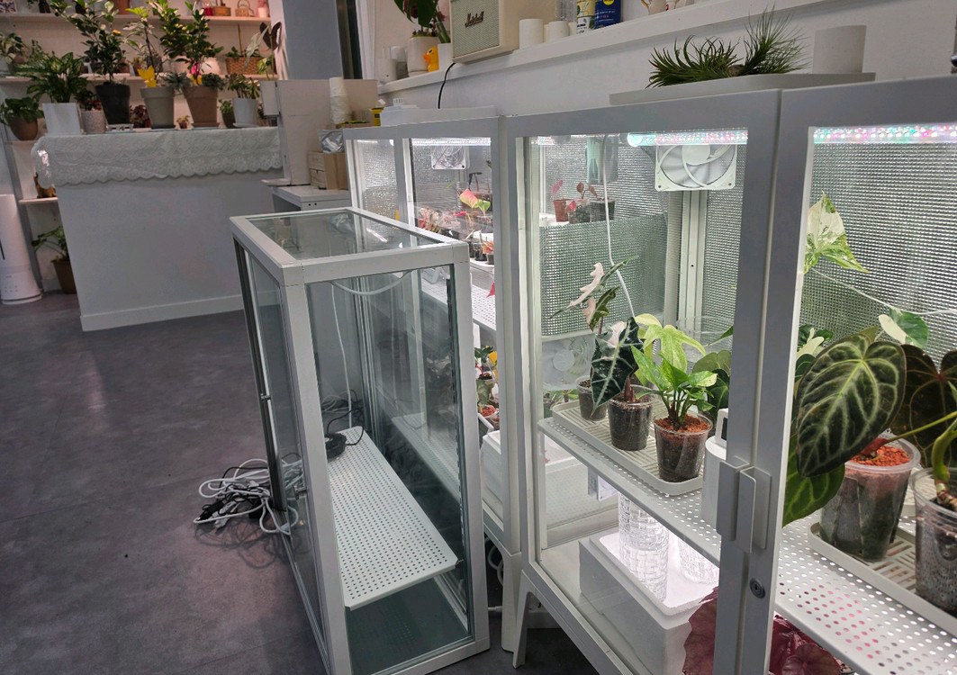 식물재배용 LED 조명 장비 세트 이미지