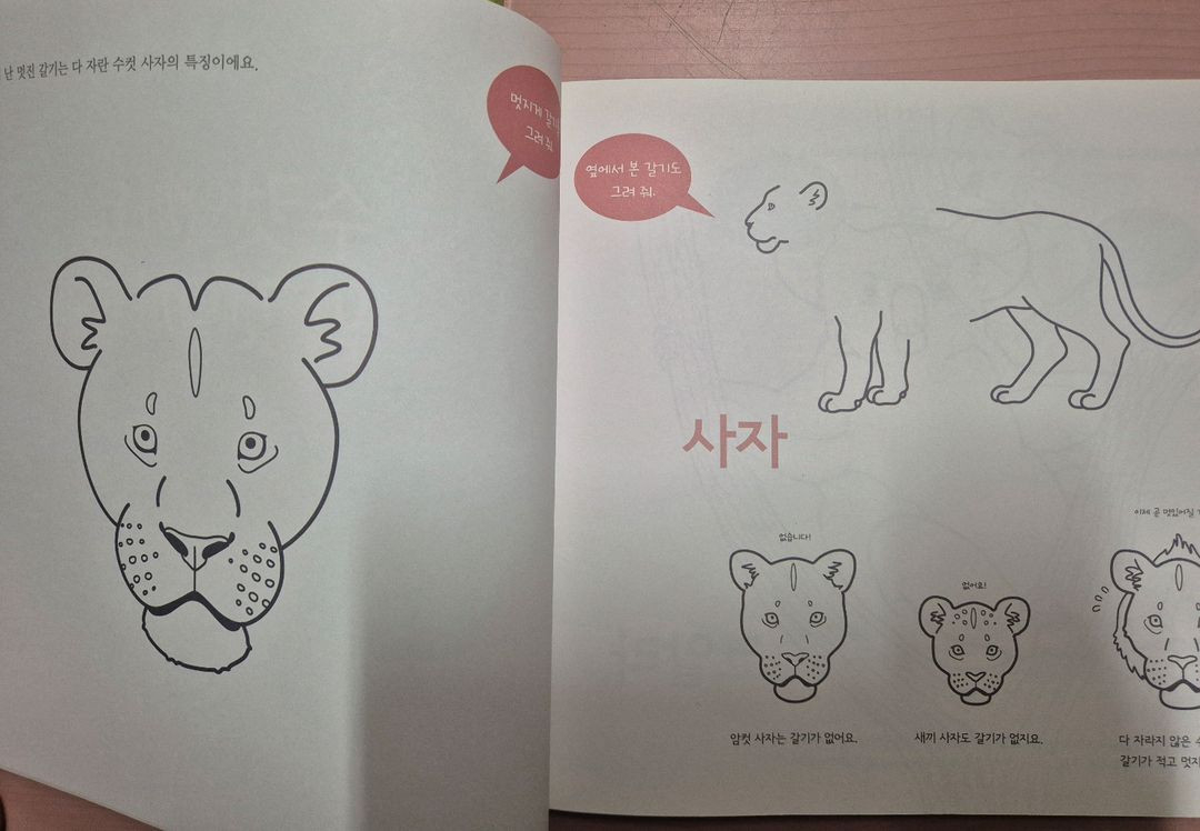 웅진북클럽 한걸음 먼저 자연탐구 40권 택포 이미지