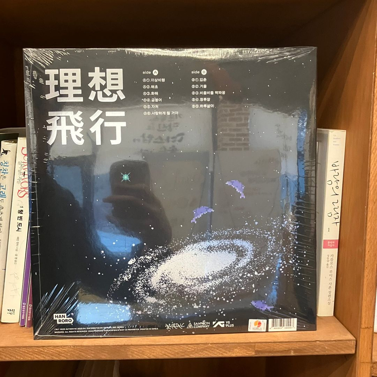 한로로 LP 이상비행 [미개봉] 이미지