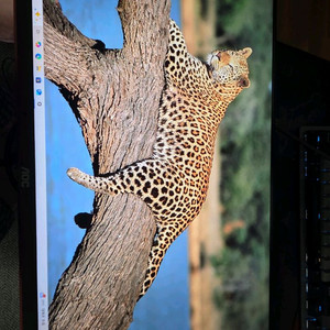 알파스캔 AOC 144Hz IPS패널 모니터 풀박스 이미지