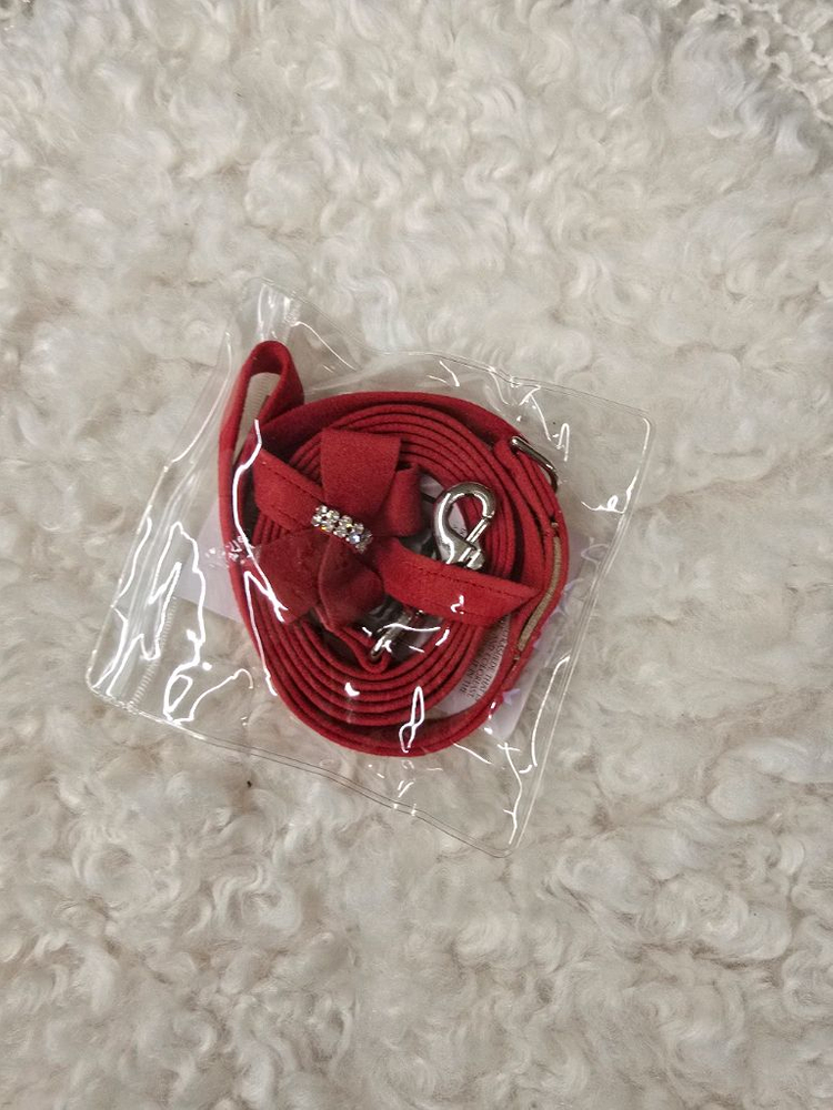 수잔랜시 루이독 강아지 목줄 하네스 세트 이미지