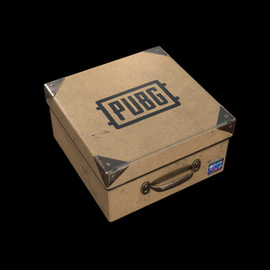 배그 T.I.P 상자 코드 (스노우 선글라스 획득 가능) 이미지