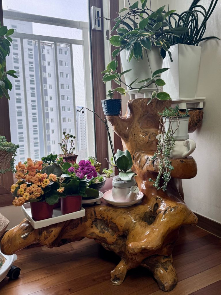 수공예 느티나무 괴목 뿌리 장식장, 화분다이, 3단 선반, 테이블 이미지