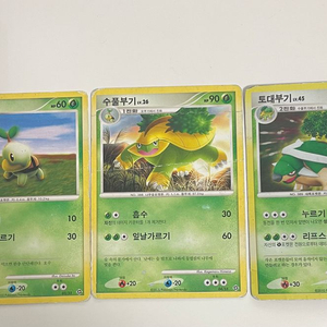 포켓몬카드 2010 dp 모부기 수풀부기 토대부기 이미지