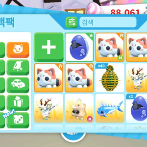 사진 이외에도 입양하세요 구하시는 펫 있으면 말씀해주세요!!!! 이미지