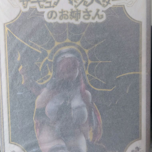 림랜드 서큐버스 시스터 특별판 - 20(미개봉) 이미지