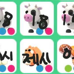 입양하세요 펫 ㅍㅍ 이미지