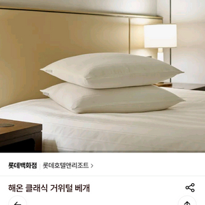 [급] 롯데 호텔 리조트 해온 클래식 거위털 베개 이미지