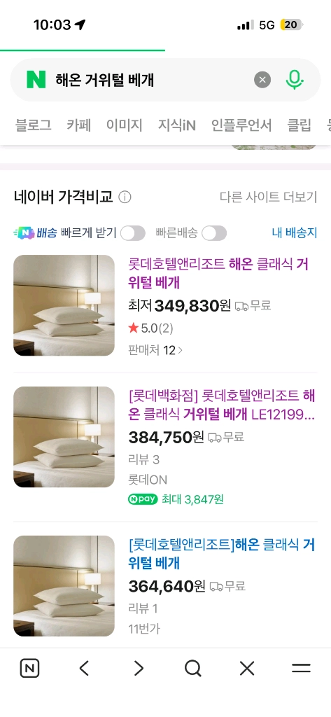 [급] 롯데 호텔 리조트 해온 클래식 거위털 베개 이미지