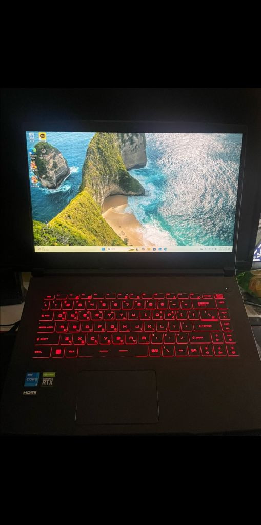 MSI Thin GF63 i5-11450 RTX3050 게이밍 노트북 이미지