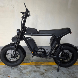 엑스트론 미니 자토바이 전기자전거 48V 500W 20Ah 팝니다 이미지