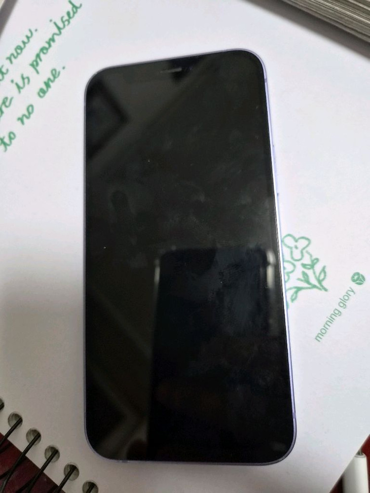 아이폰 12 미니 128기가 퍼플 이미지