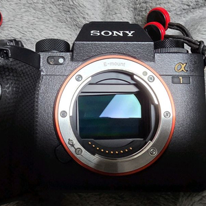 보증 남은 소니 a1 팝니다. 이미지