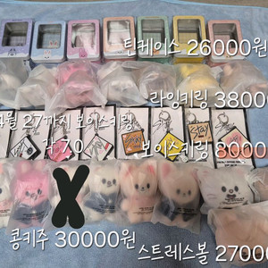 스트레이키즈 굿즈 이미지