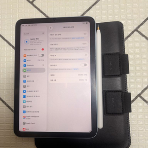 1월구매 아이패드 미니 7세대 256기가 블루 와이파이+애펜프로 이미지