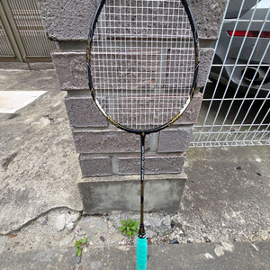 닉텐 볼트 스트라이크 배드민턴 라켓 이미지