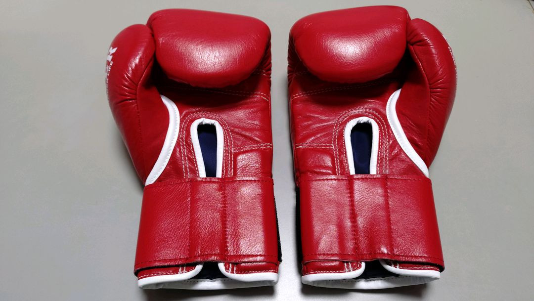 이사미 복서 글러브 10온스 레드 이미지