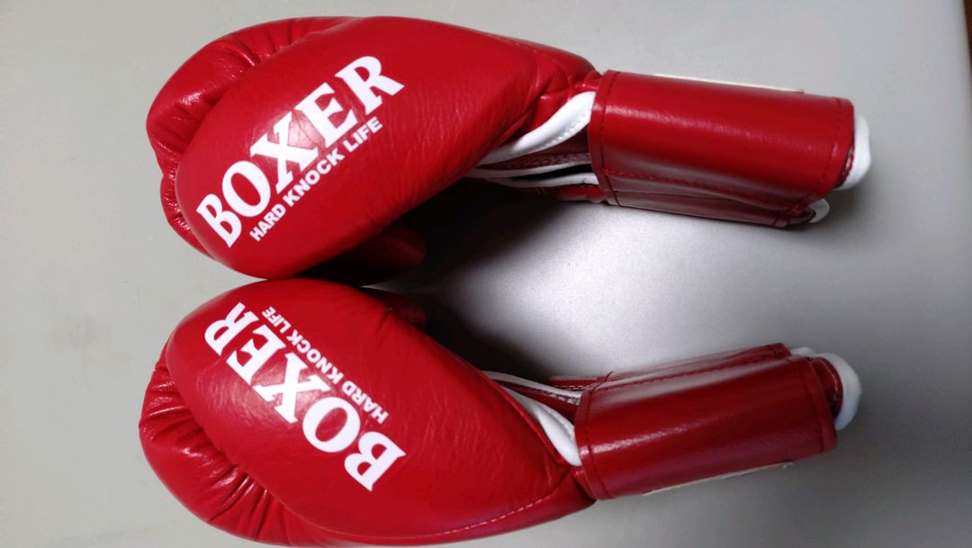 이사미 복서 글러브 10온스 레드 이미지