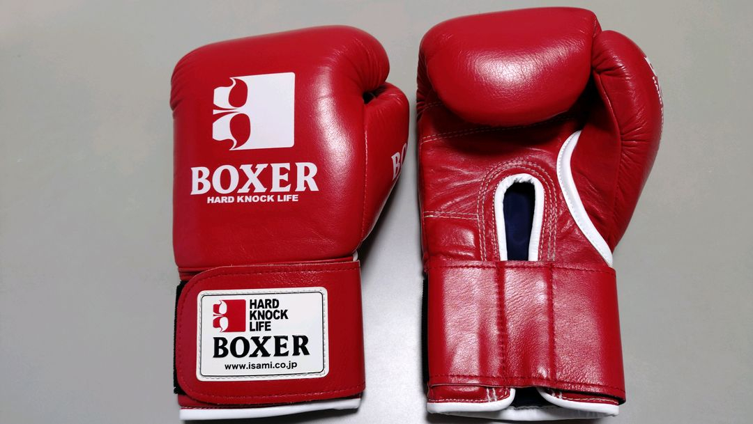 이사미 복서 글러브 10온스 레드 이미지